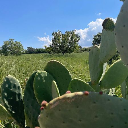 Trulli Del Sole Βίλα Μαρτίνα Φράνκα Εξωτερικό φωτογραφία