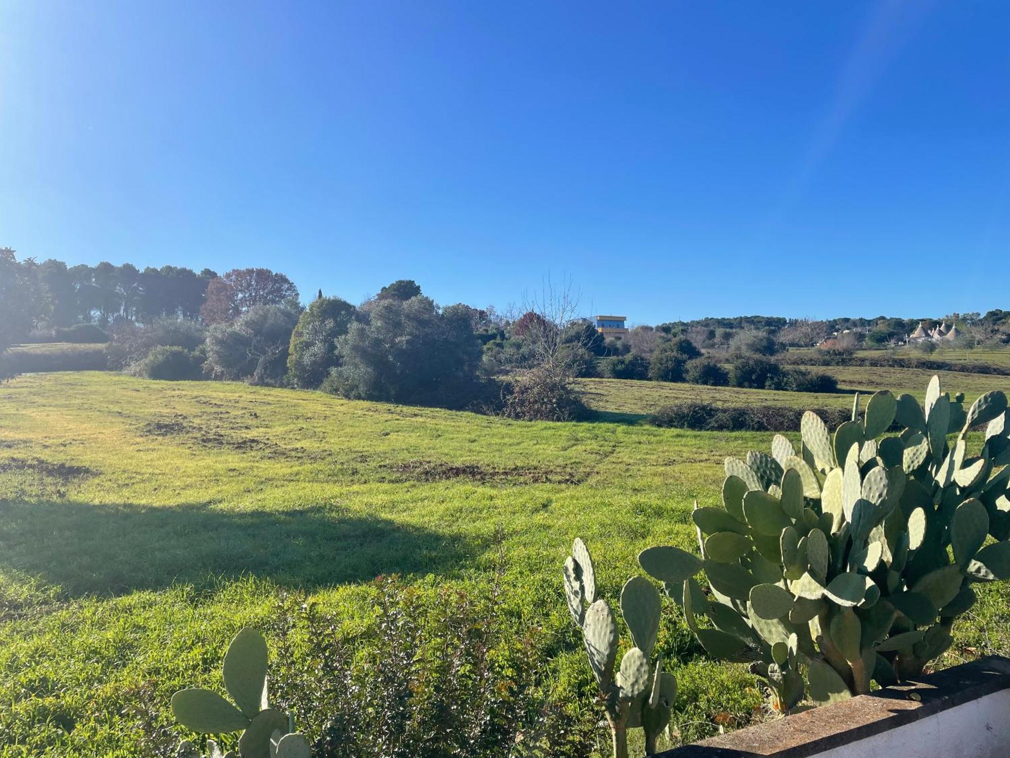 Trulli Del Sole Βίλα Μαρτίνα Φράνκα Εξωτερικό φωτογραφία