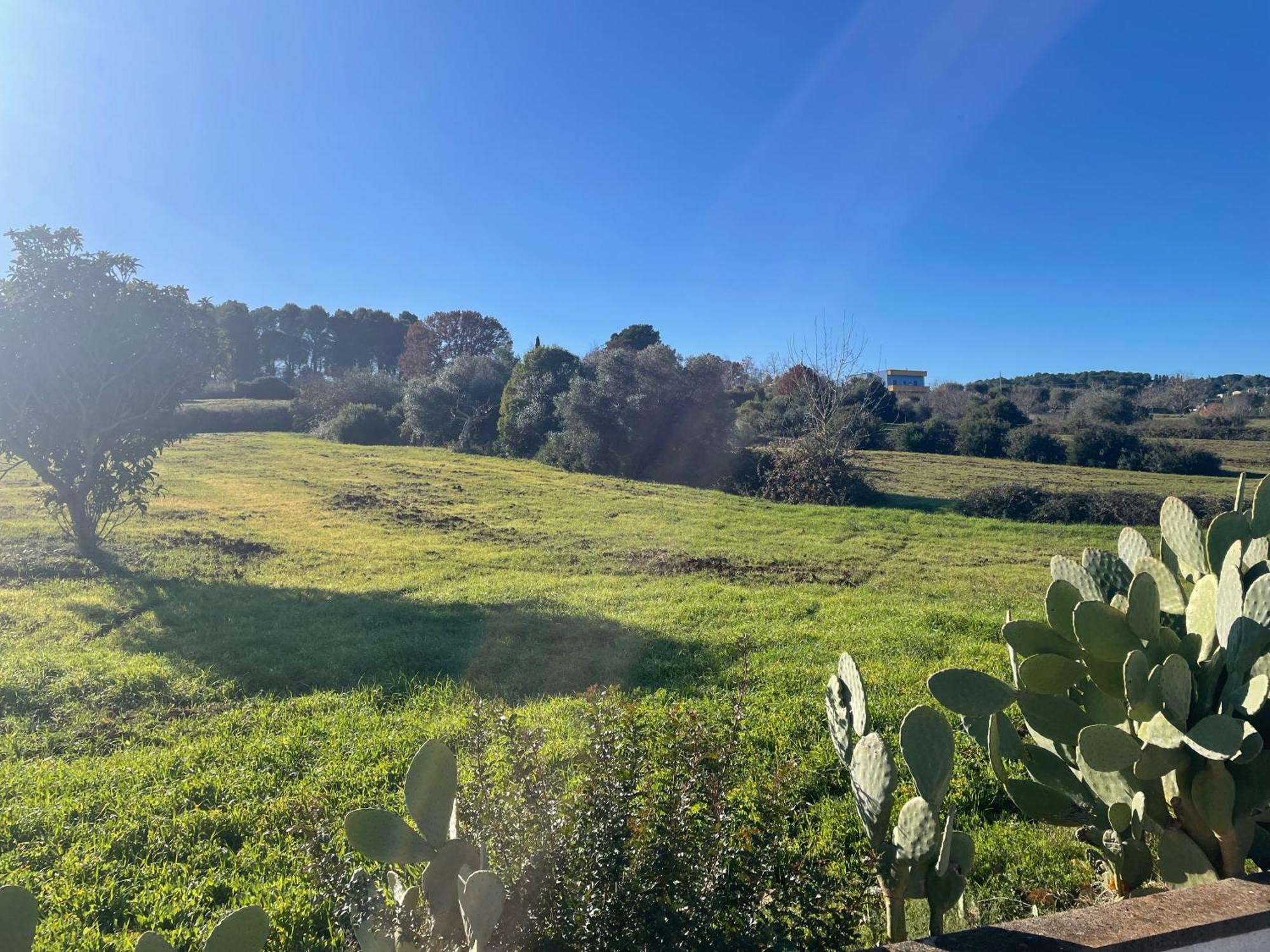 Trulli Del Sole Βίλα Μαρτίνα Φράνκα Εξωτερικό φωτογραφία