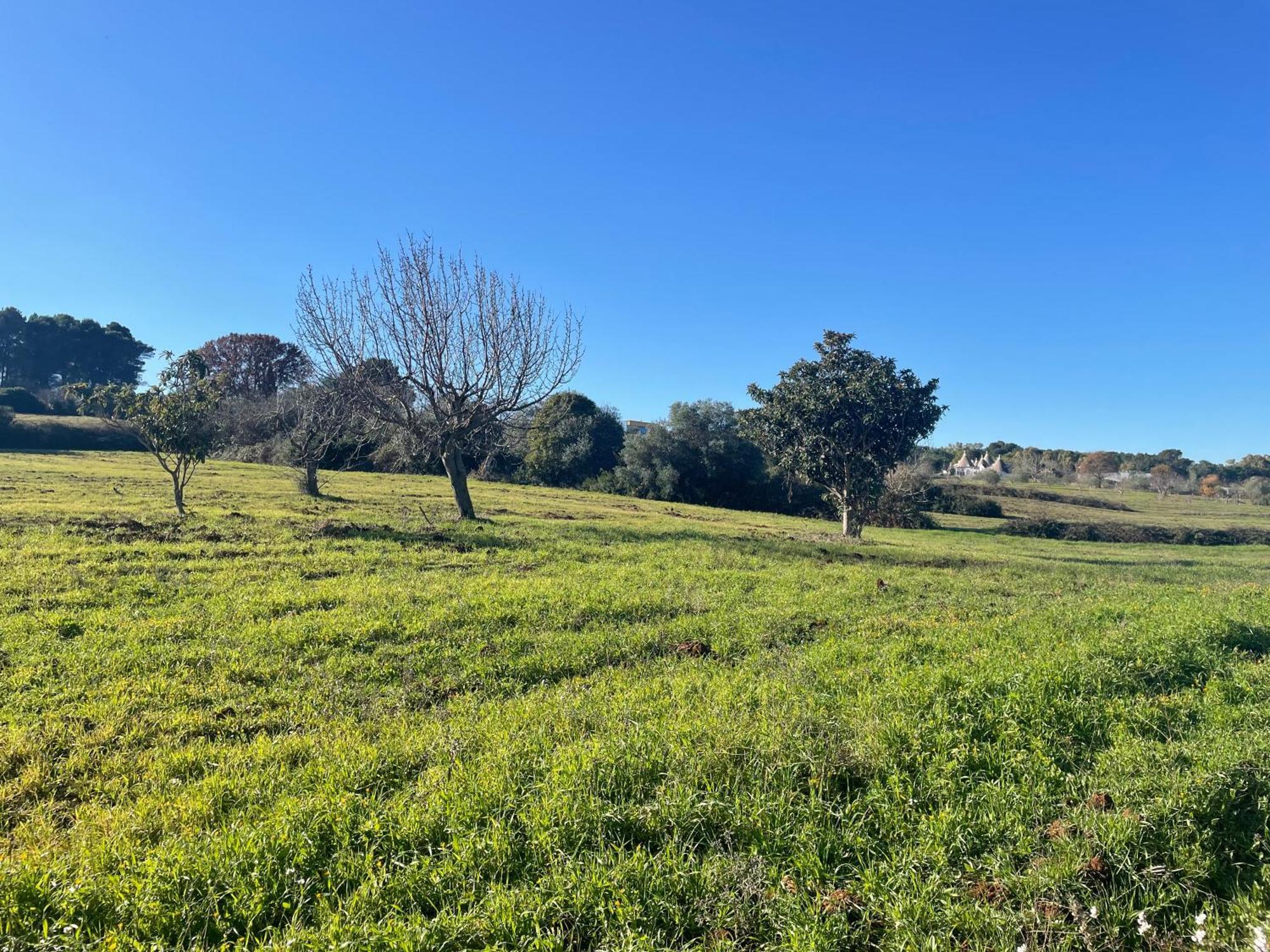 Trulli Del Sole Βίλα Μαρτίνα Φράνκα Εξωτερικό φωτογραφία