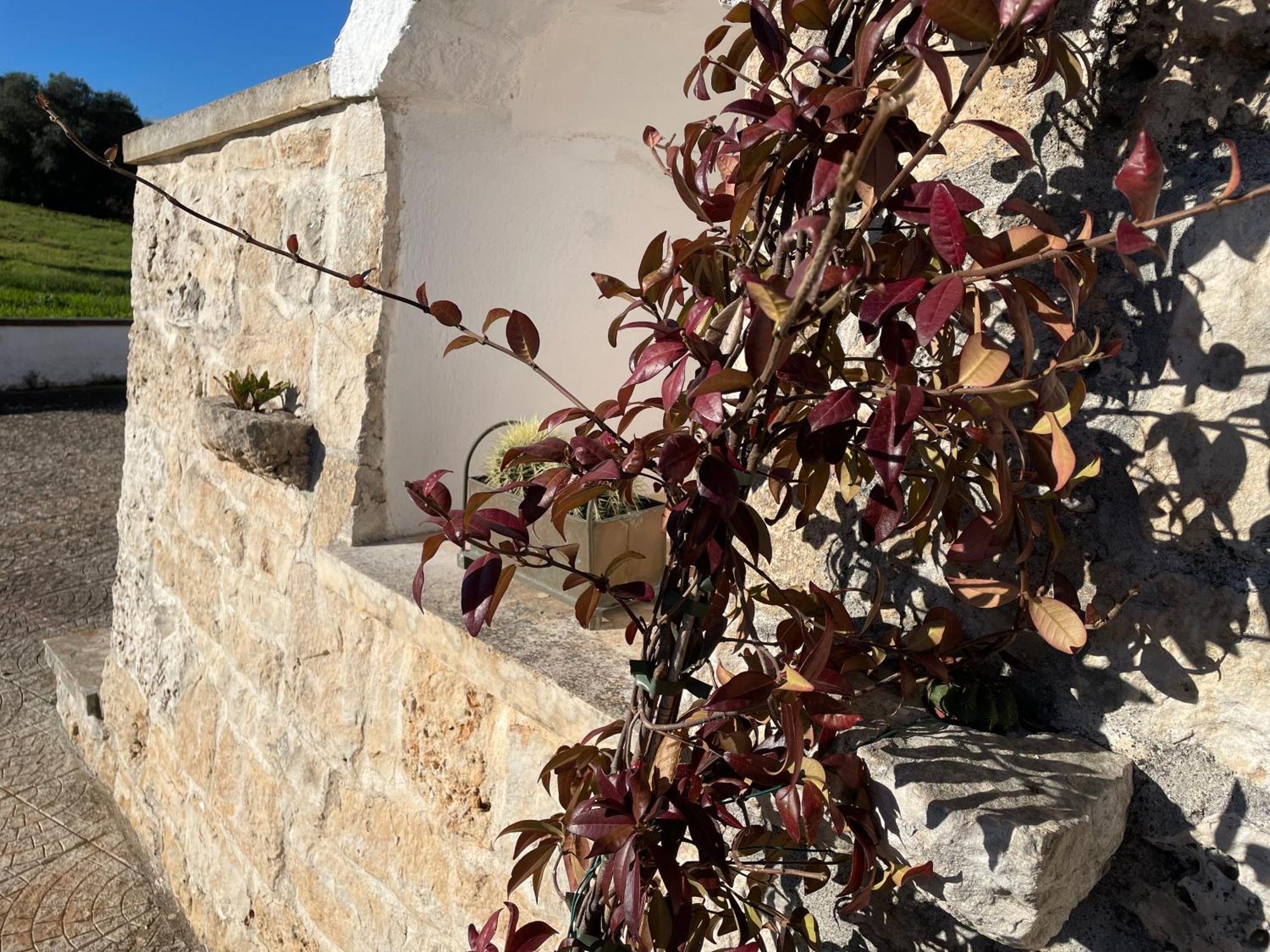 Trulli Del Sole Βίλα Μαρτίνα Φράνκα Εξωτερικό φωτογραφία