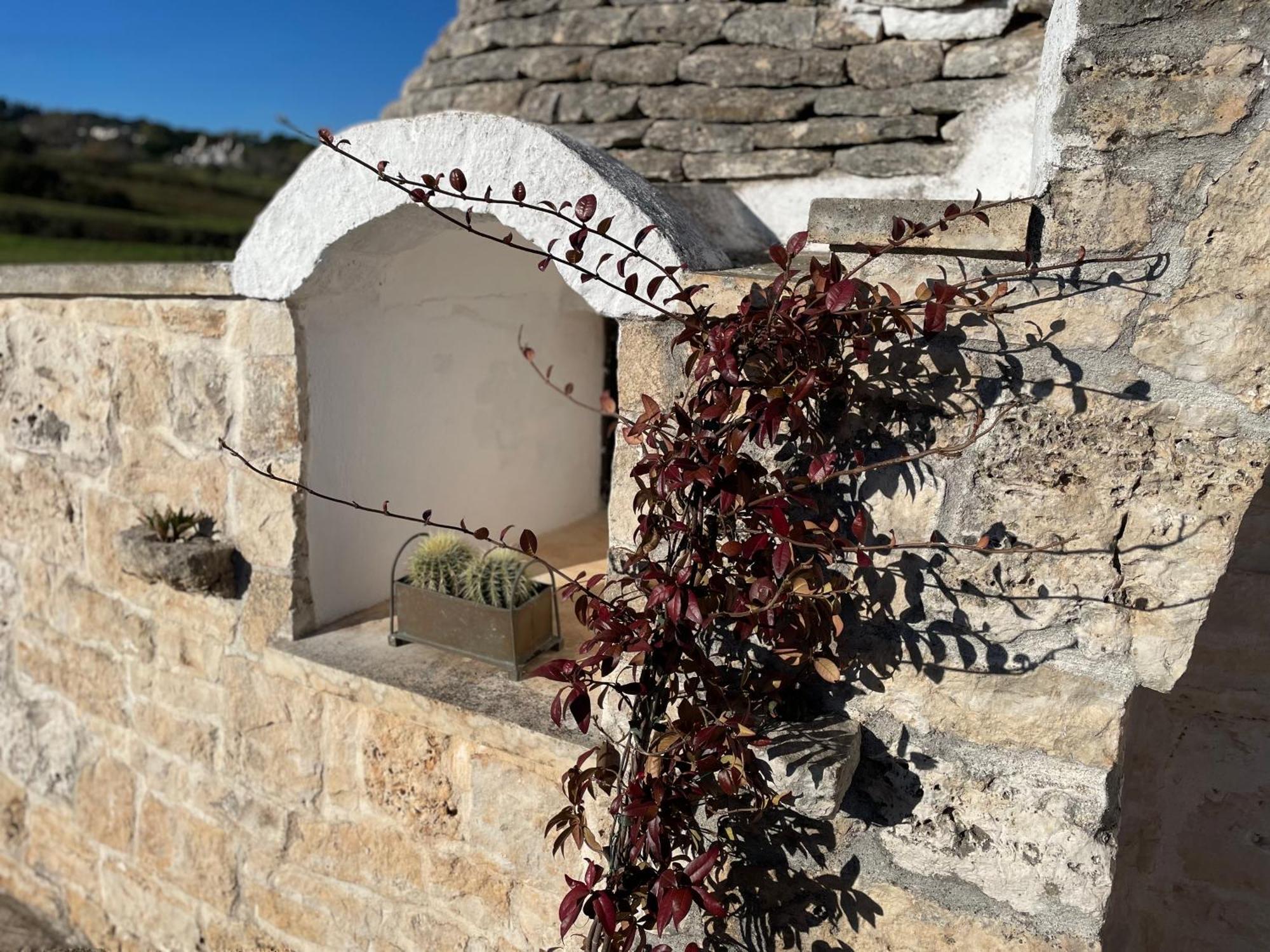 Trulli Del Sole Βίλα Μαρτίνα Φράνκα Εξωτερικό φωτογραφία