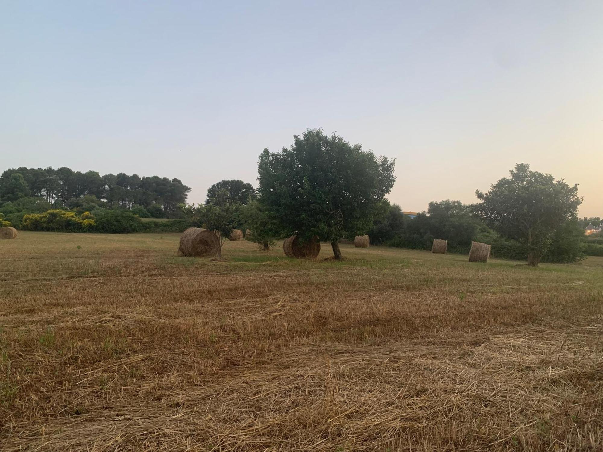 Trulli Del Sole Βίλα Μαρτίνα Φράνκα Εξωτερικό φωτογραφία