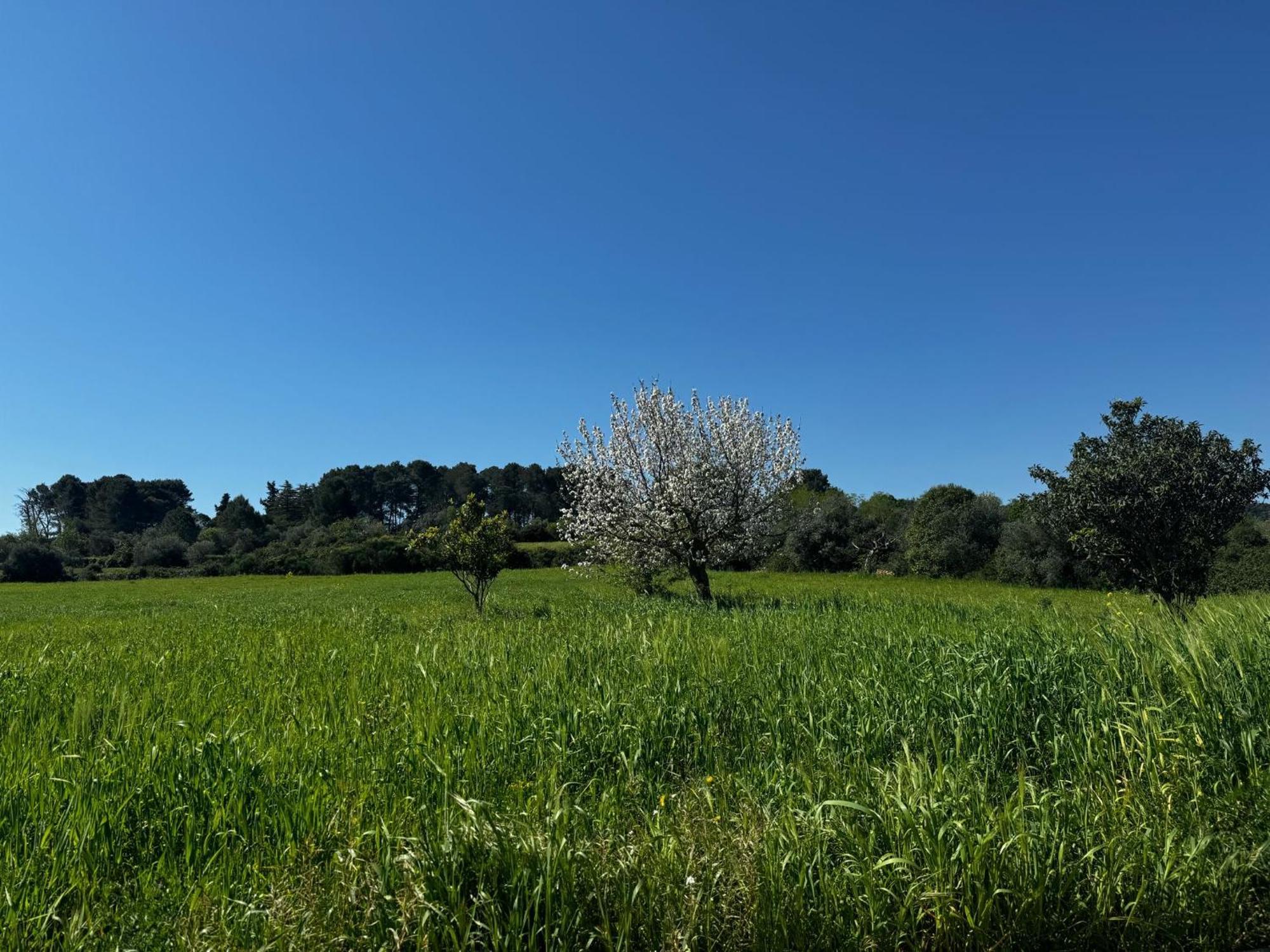 Trulli Del Sole Βίλα Μαρτίνα Φράνκα Εξωτερικό φωτογραφία