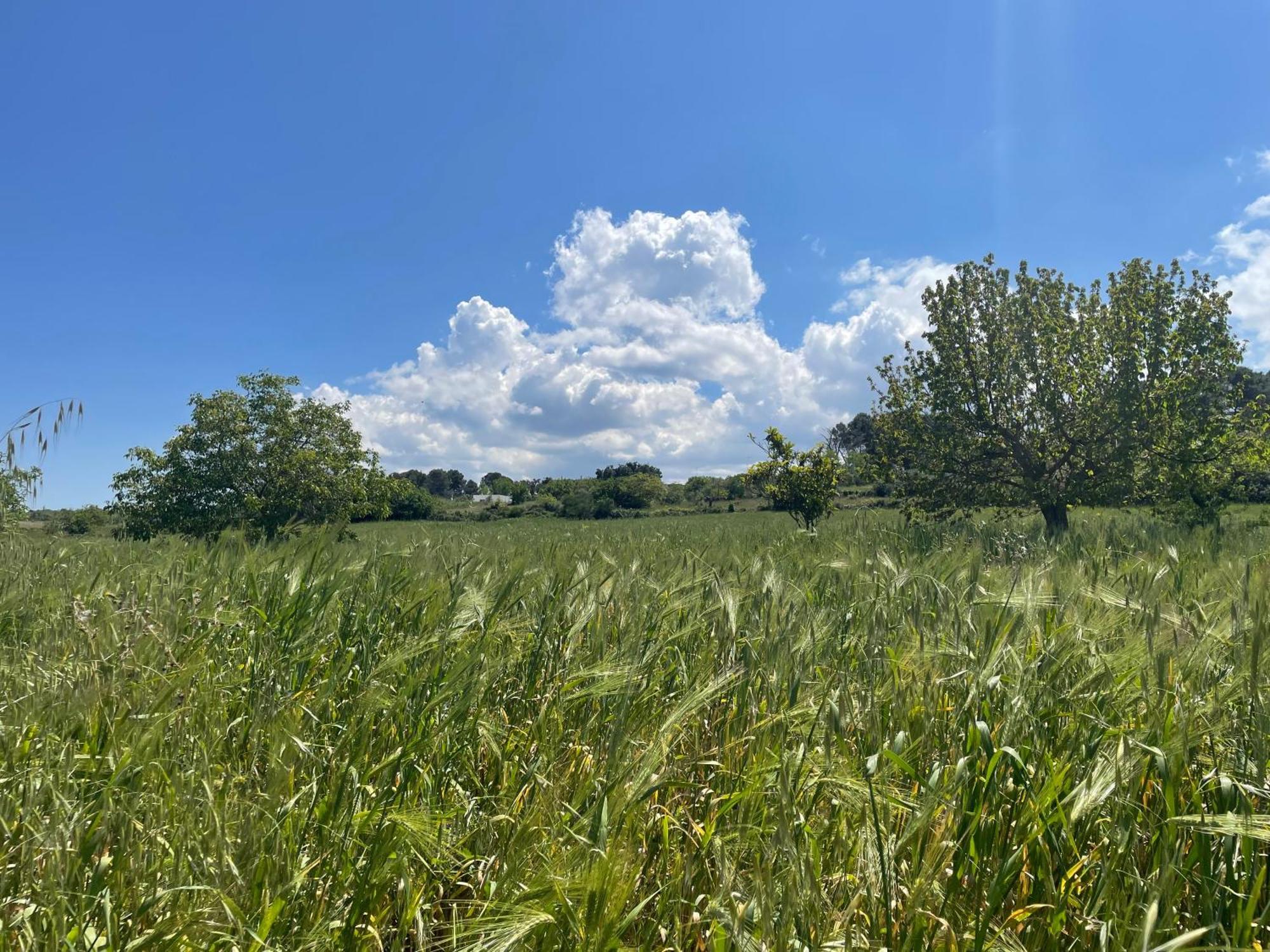 Trulli Del Sole Βίλα Μαρτίνα Φράνκα Εξωτερικό φωτογραφία