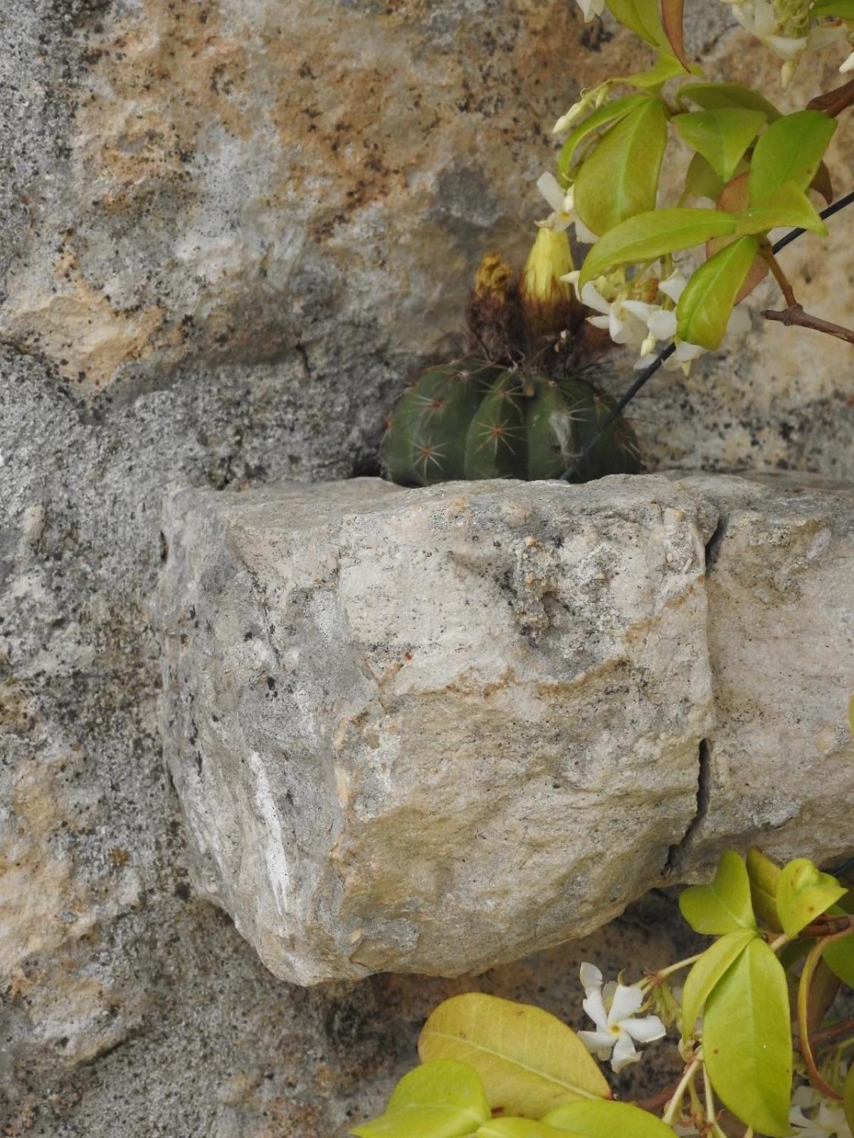 Trulli Del Sole Βίλα Μαρτίνα Φράνκα Εξωτερικό φωτογραφία